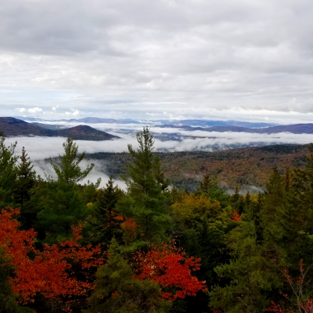 Meet your Posher, May